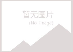 白银平川语蓉能源有限公司